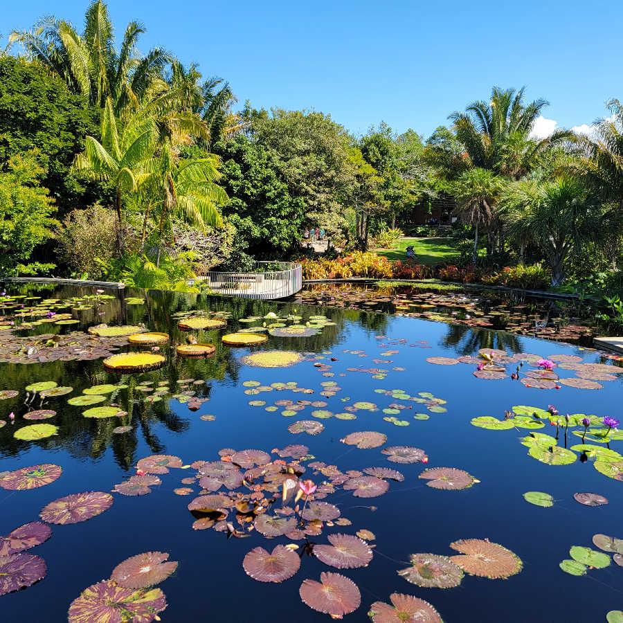 Naples, FL, US